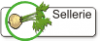 Sellerie