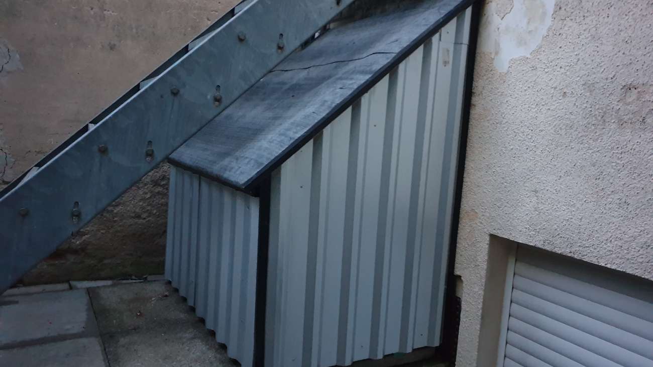 Bild Teichprojekt