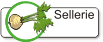 Sellerie